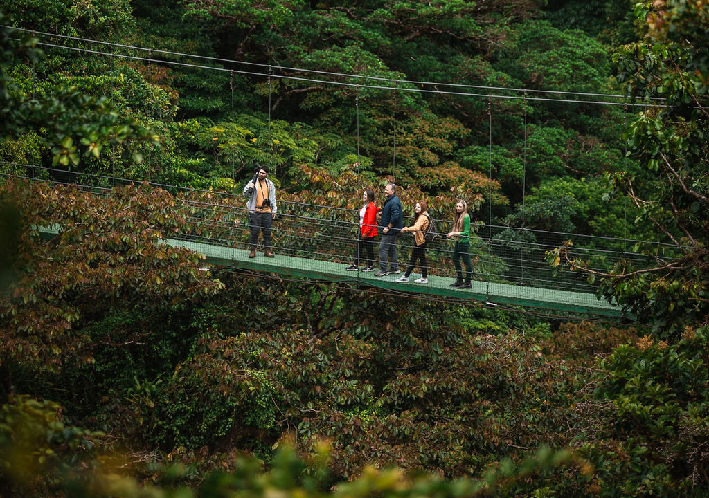 Treetopia Sky Walk