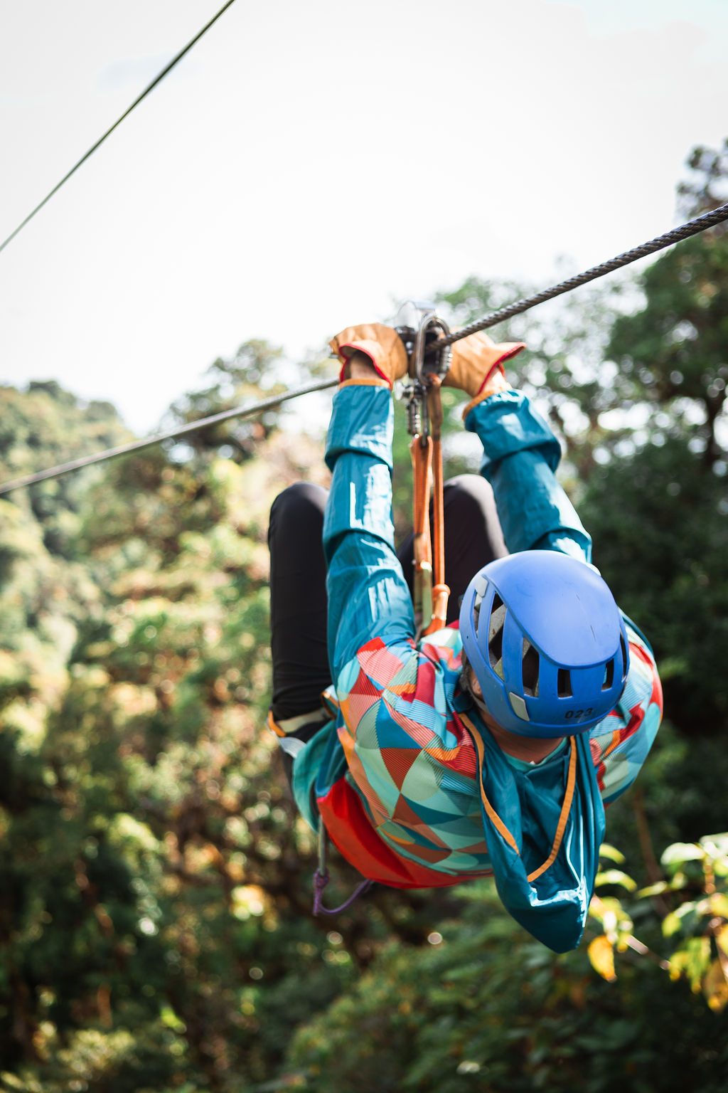 Treetopia Sky Trek