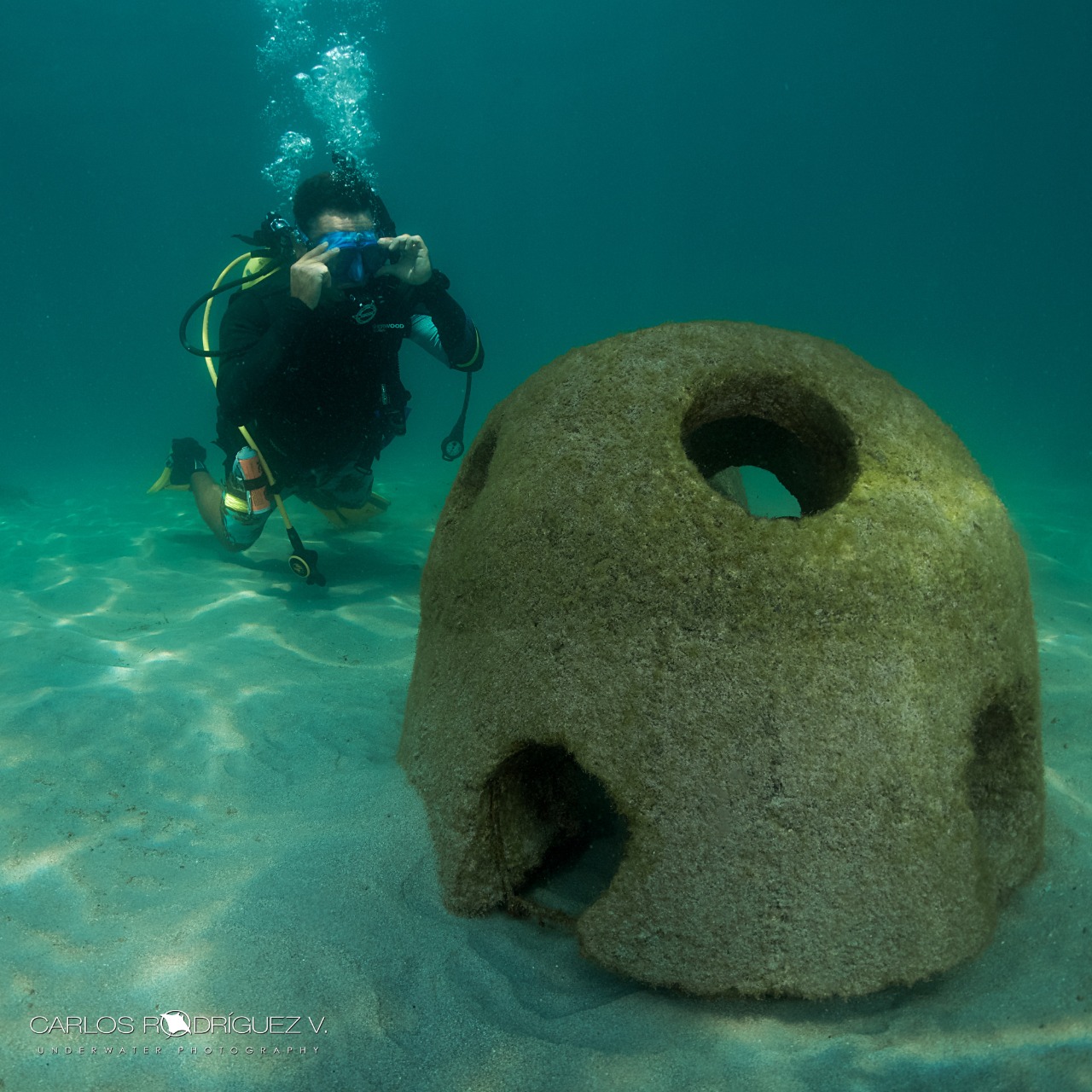 Dive CR